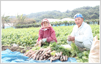 普天間春行さん 信子さんご夫妻