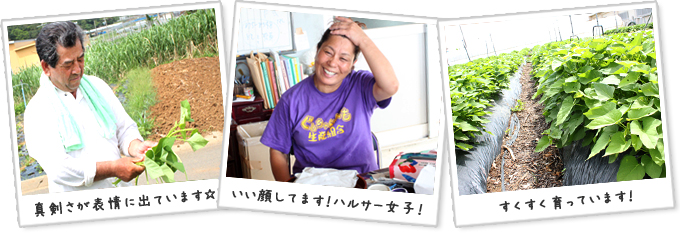 真剣さが表情に出ています☆　いい顔してます！ハルサー女子！　すくすく育っています！