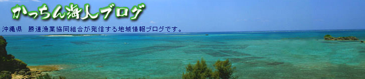 かっちん海人ブログ.png