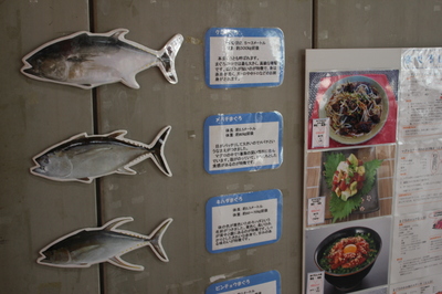 ﾏｸﾞﾛ看板①.JPG