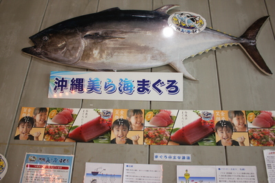 ﾏｸﾞﾛ看板③.JPG