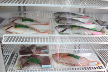 北直売店魚.JPG