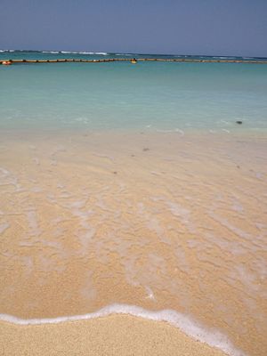 IMG_1260.jpg