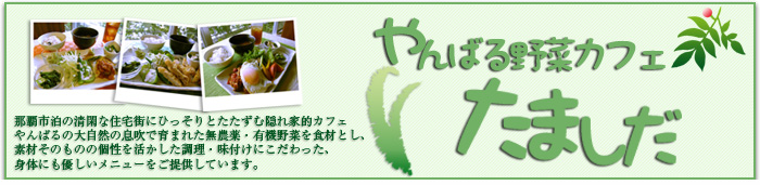 那覇市泊の清閑な住宅街にひっそりとたたずむ隠れ家的カフェ
やんばるの大自然の息吹で育まれた無農薬・有機野菜を食材とし、
素材そのものの個性を活かした調理・味付けにこだわった、
身体にも優しいメニューをご提供しています。