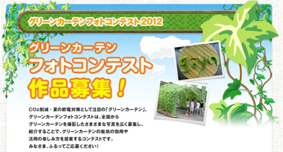greenCurtain2012_01.jpg