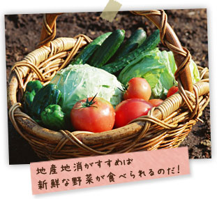 地産地消がすすめば新鮮な野菜が食べられるのだ!