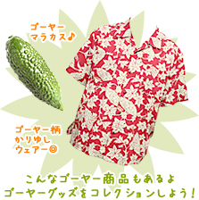 こんなゴーヤー商品もあるよ ゴーヤーグッズをコレクションしよう！