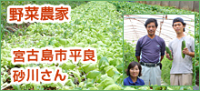 野菜農家 宮古島市平良 砂川さん
