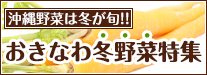 あったかいーさぁ、おいしいさぁ　おきなわ冬野菜特集