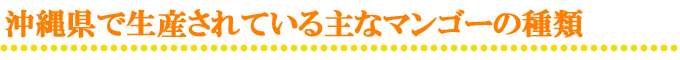 沖縄県で生産されているマンゴーの主な種類タイトル画像