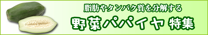 脂肪やヤンパク質を分解する野菜パパイヤ特集