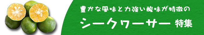 豊かな風味と力強い酸味が特徴のシークヮーサー特集
