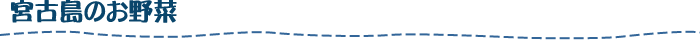 宮古島のお野菜