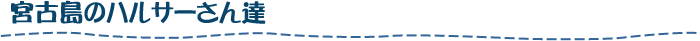 宮古島のハルサーさん達