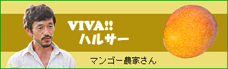 VIVA!!ハルサー　マンゴー農家さん