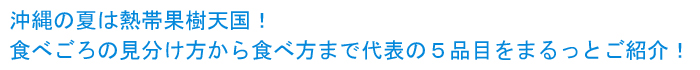 沖縄の夏は熱帯果樹天国