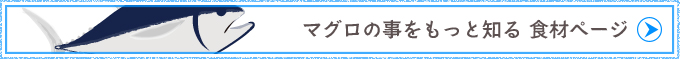 マグロの事をもっと知る 食材ページ