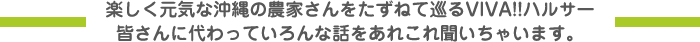 楽しく元気な沖縄の農家さんをたずねて巡るVIVA!!ハルサー皆さんに代わっていろんな話をあれこれ聞いちゃいます。