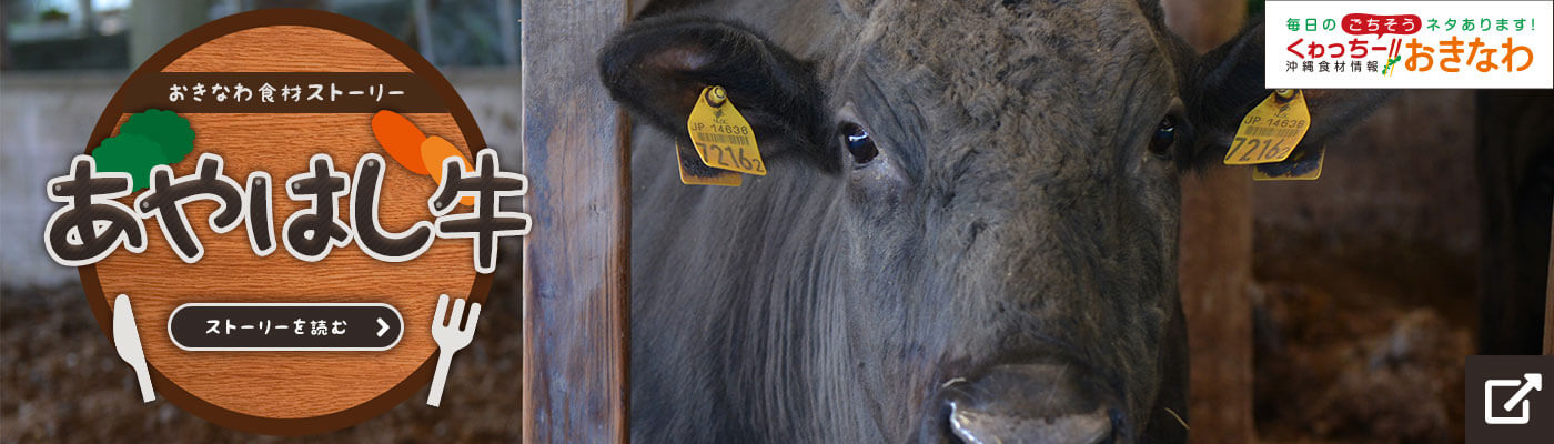 おきなわ食材ストーリー「あやはし牛」