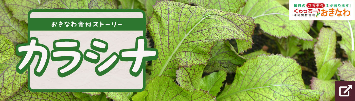 おきなわ食材ストーリー「カラシナ」