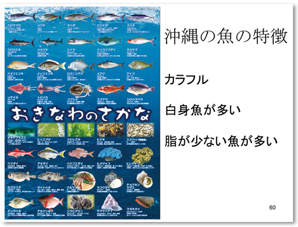 沖縄の魚の特徴