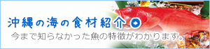 沖縄の海の食材紹介　今まで知らなかった魚の特徴がわかります。
