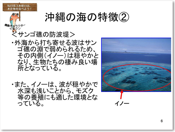 沖縄の海の特徴２　＜サンゴ礁の防波堤＞