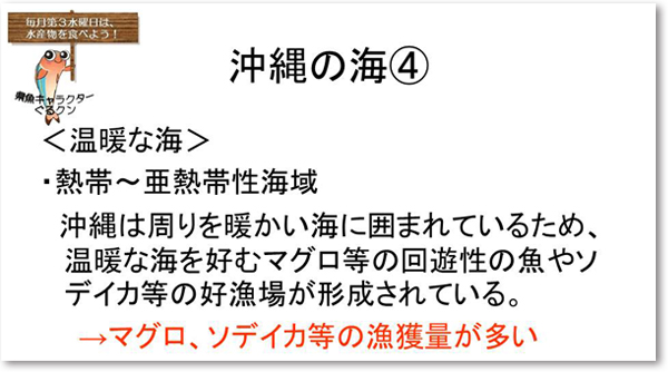 沖縄の海４　＜温暖な海＞