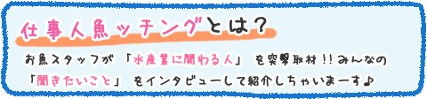 仕事人魚ッチングとは？お魚スタッフが「水産業に関わる人」を突撃取材!!みんなの「聞きたいこと」をインタビューして紹介しちゃいまーす♪