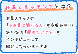 仕事人魚ッチングとは？お魚スタッフが「水産業に関わる人」を突撃取材!!みんなの「聞きたいこと」をインタビューして紹介しちゃいまーす♪