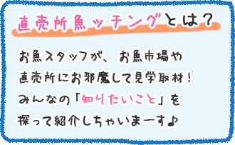 直売所魚ッチングとは？お魚スタッフが、お魚市場や直売所にお邪魔して見学取材！みんなの「知りたいこと」を探って紹介しちゃいまーす♪
