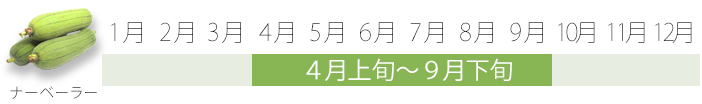 【旬食】食材ページレイアウトおきレシ_11.jpg