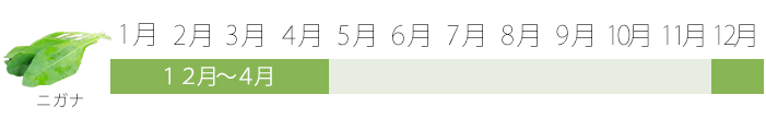 【旬食】食材ページレイアウトおきレシ_11.jpg