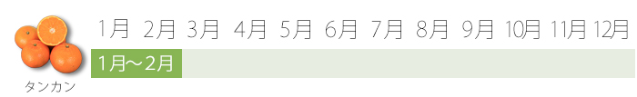 【旬食】食材ページレイアウトおきレシ_11.jpg