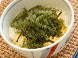 海ぶどう丼