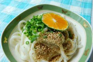 温州ミカンのかけうどん