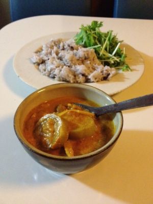 ヘチマのトマトココナッツカレー