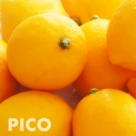 PICO